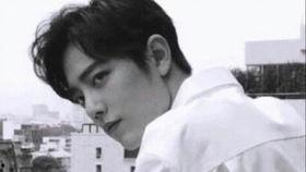 肖战事件娱乐圈吃瓜